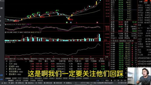 股票知识详解，背景、发展、影响及在当代的重要地位