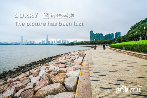 热门网络奶奶，现象背后的故事探究