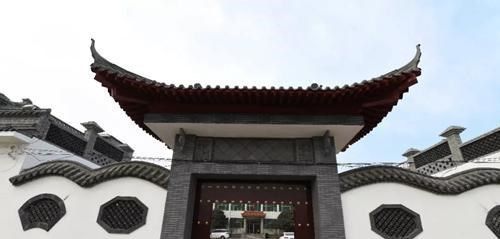 园林绿化工程施工 第266页