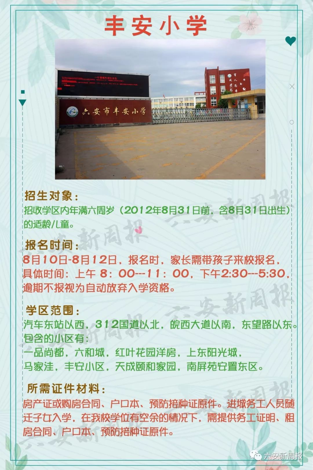 最新安小学日常趣事概览